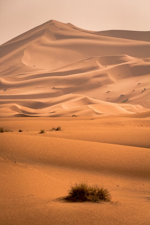 Visiting a desert in India